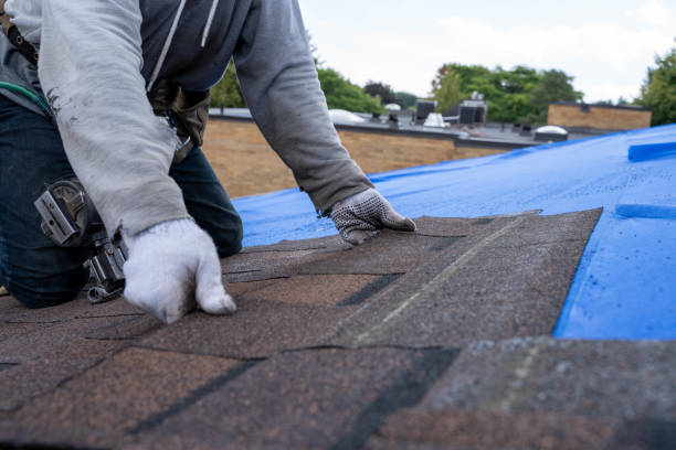 Best Local Roofing Companies  in Purcell, OK